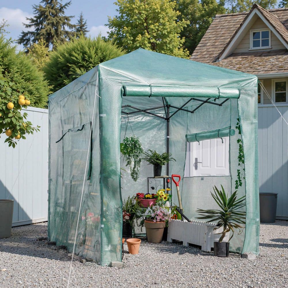 8 ft. W x 6 ft. D Collapsible Metal Walk-In Greenhouse, Green - Hercitys