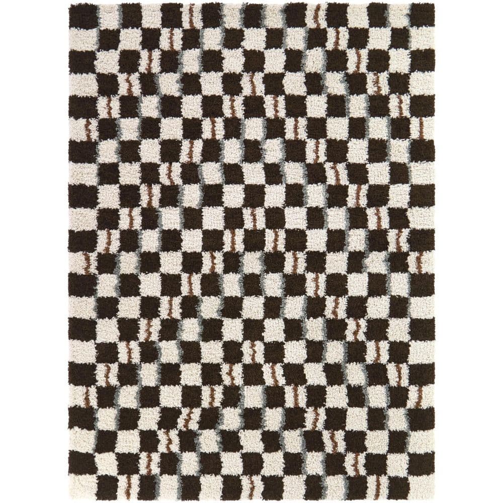 Darien Brown 5 ft. 3 in. x 7 ft. Checkered Area Rug - Hercitys