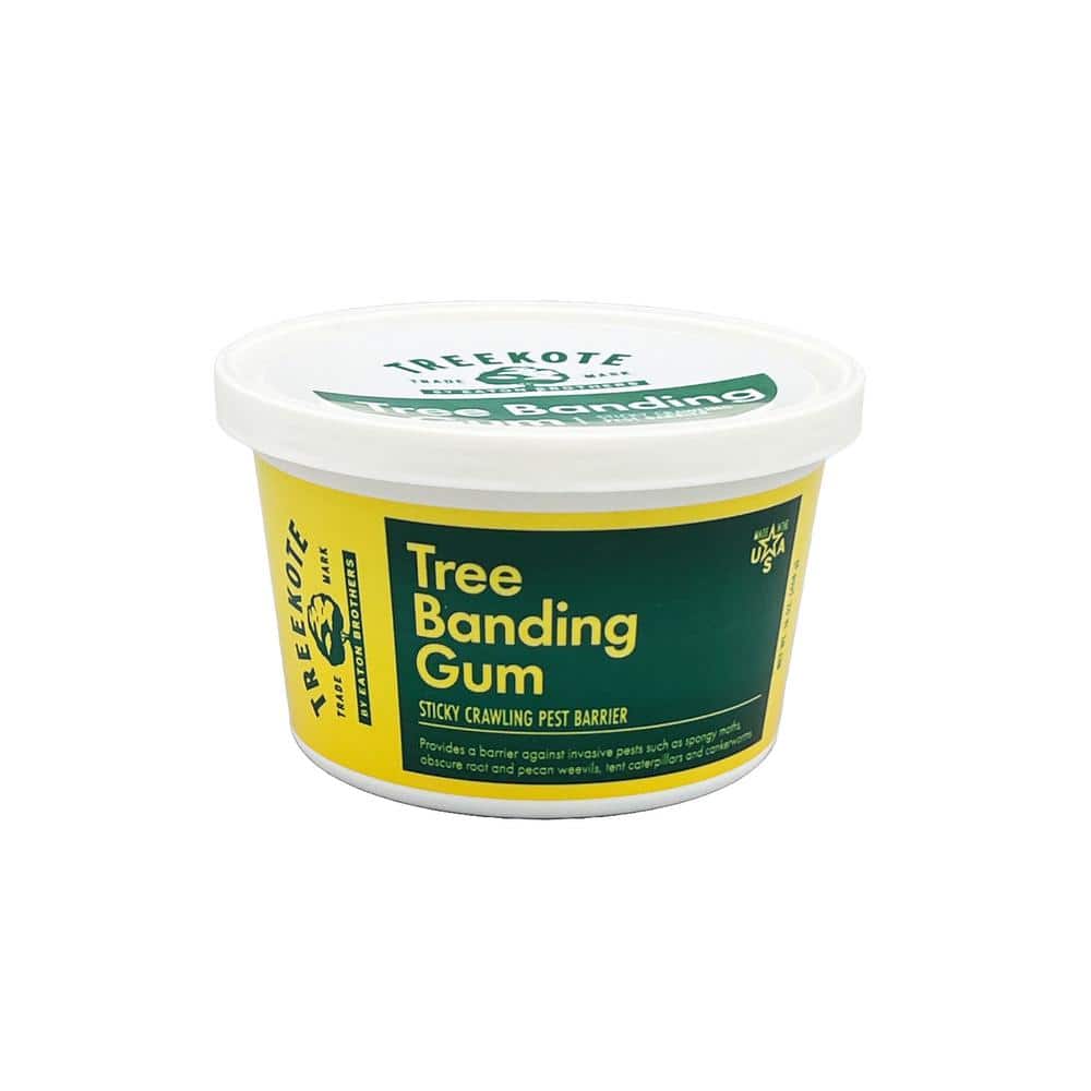 Tree Banding Gum 16 oz. Tub-Insect Barrier for Trapping and Monitoring Pests like Ants, Weevils, Spongy Moth and More - Hercitys