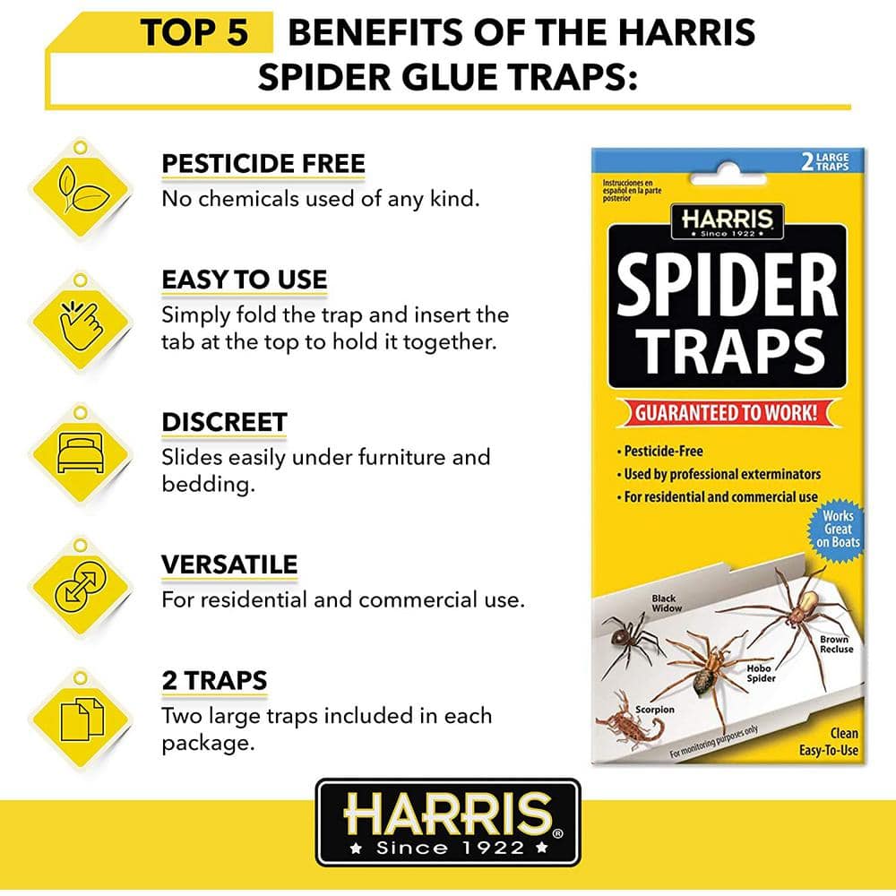 Spider Glue Traps (6-Pack) - Hercitys
