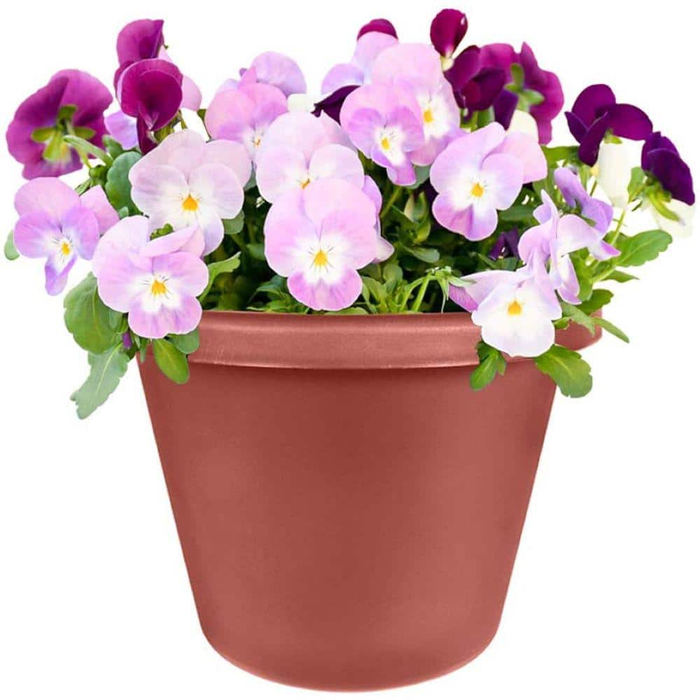 Terra Cotta 12 in. Plastic Outdoor Classic Flower Pot - Hercitys