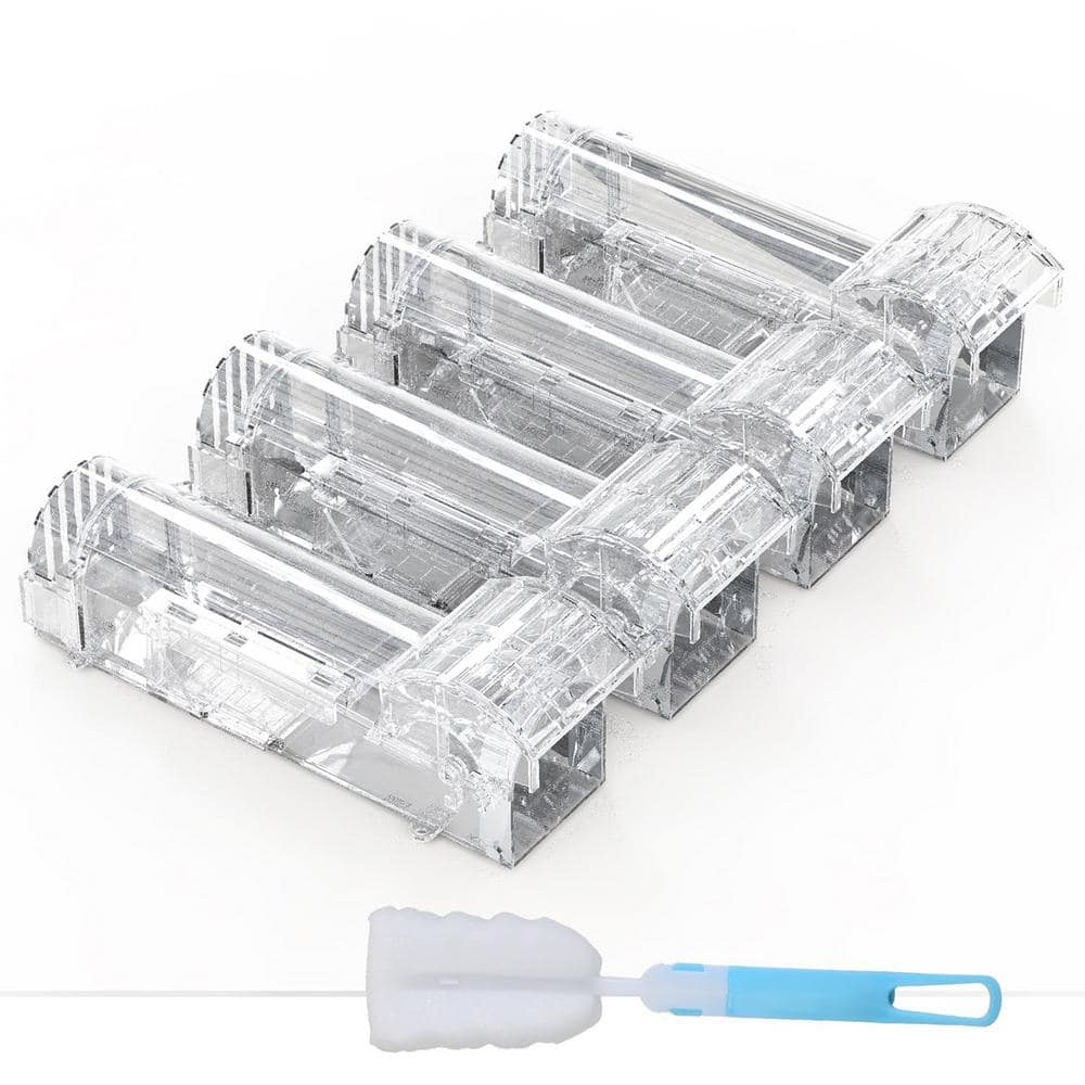 The rat catching series. Outdoors. Humanized live mouse series. Live rat trap. 4 packs - Hercitys