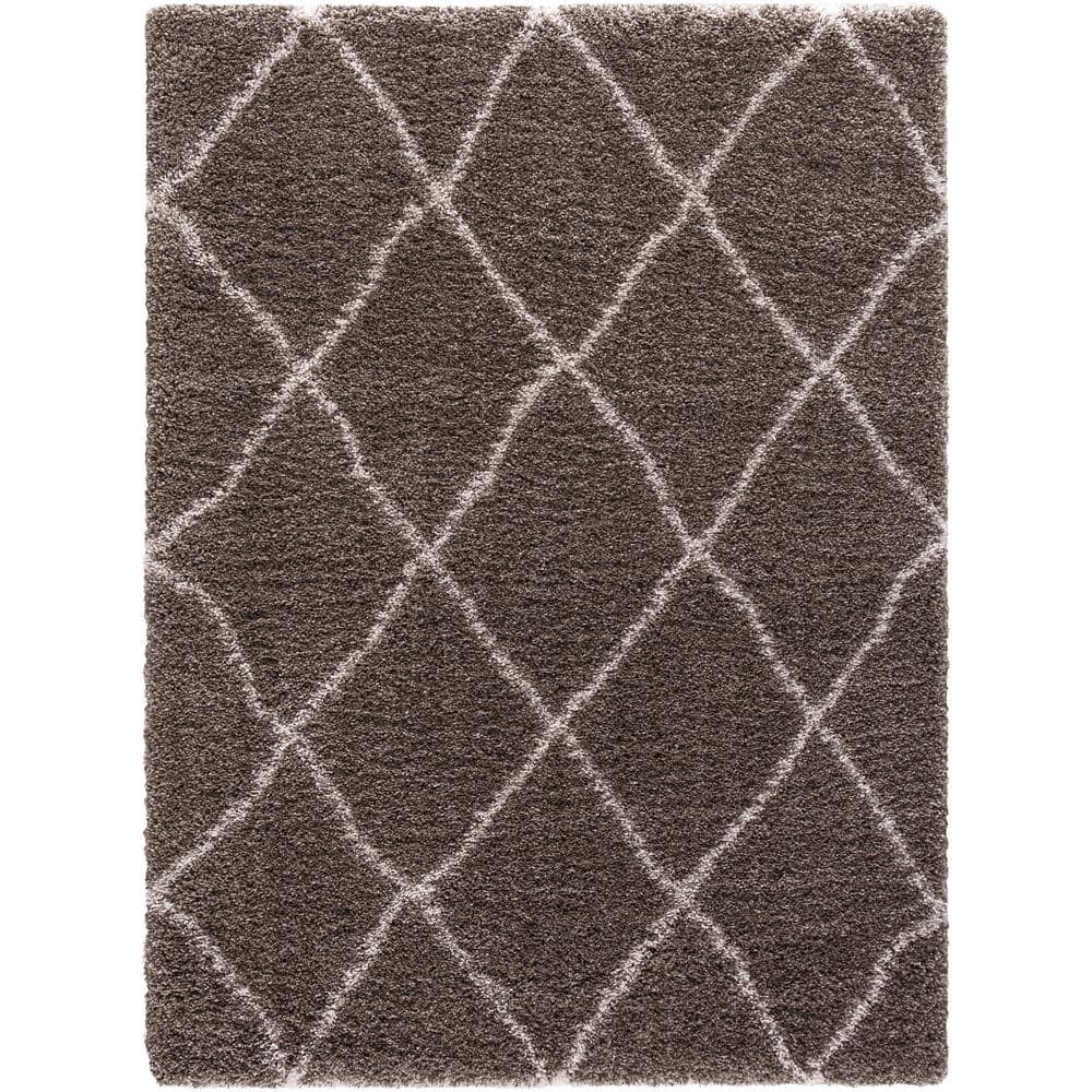 Ocean Shag Trellis Light Brown 5 ft. x 7 ft. Area Rug - Hercitys