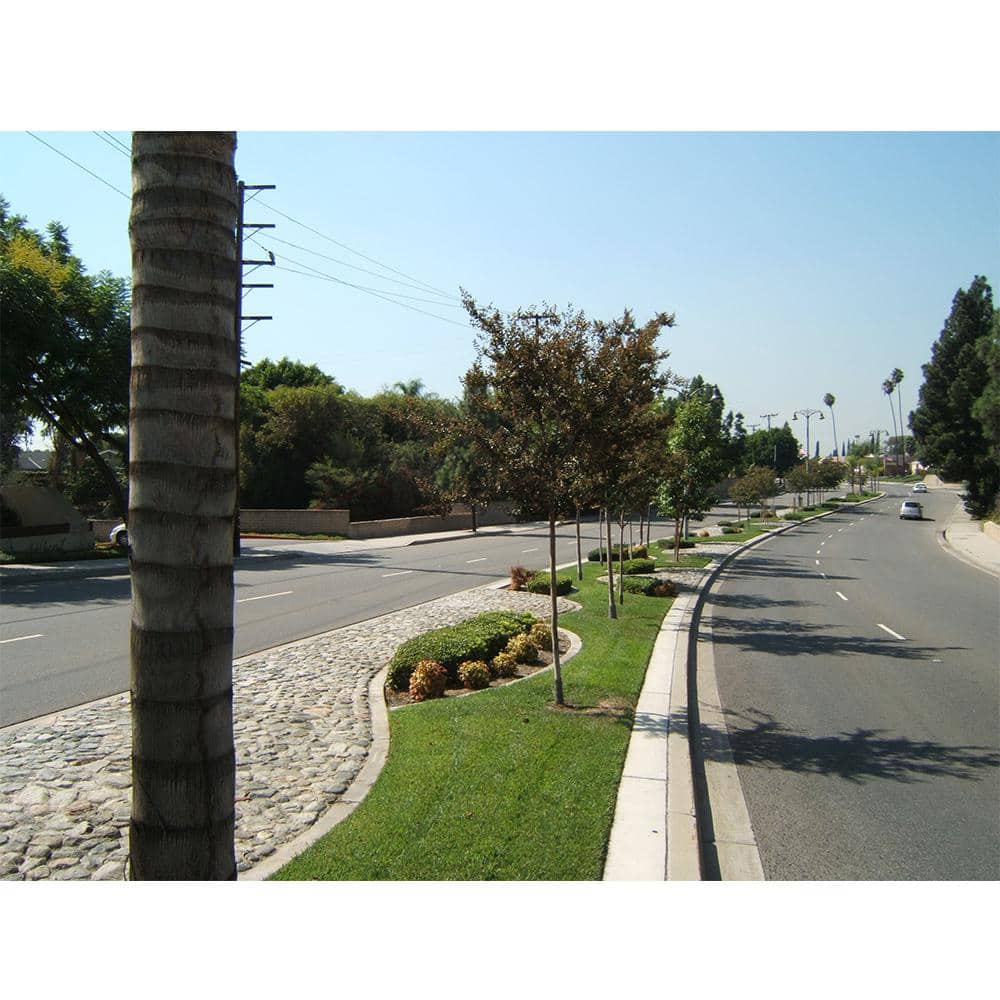 9 in. Tree Guard Tree Trunk Protector (5-Pack) - Hercitys