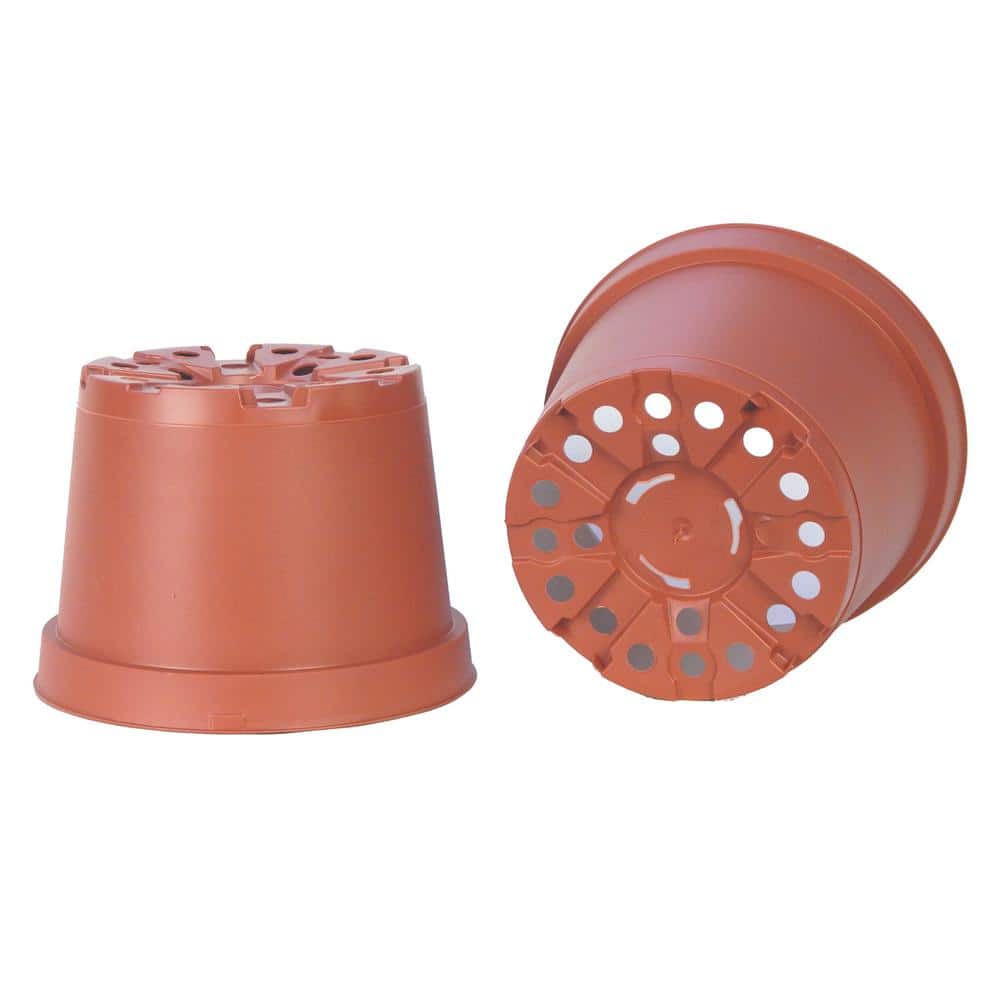 6 in. Plastic Round Pot (6-Pack) - Hercitys