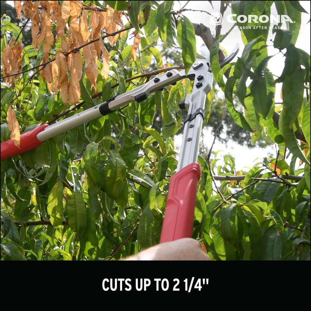 XSeries 2 – 1/4 in. Cut Capacity High Carbon Steel Blade With Non Slip Grips Bypass Lopper - Hercitys
