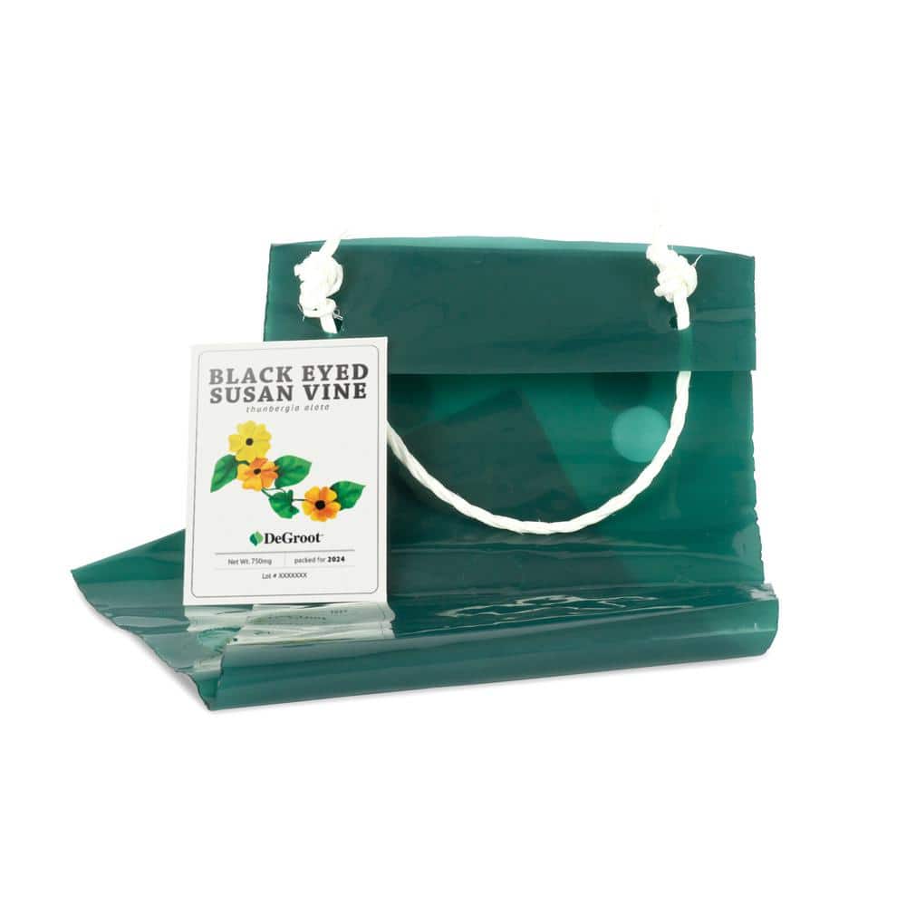 Bag O’Blooms Black Eyed Susan Vine, DIY Seed Kit, Yellow and Black Flowers (1-Packet) - Hercitys