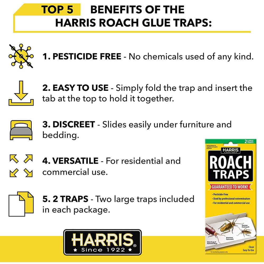Roach Glue Traps (6-Pack) - Hercitys