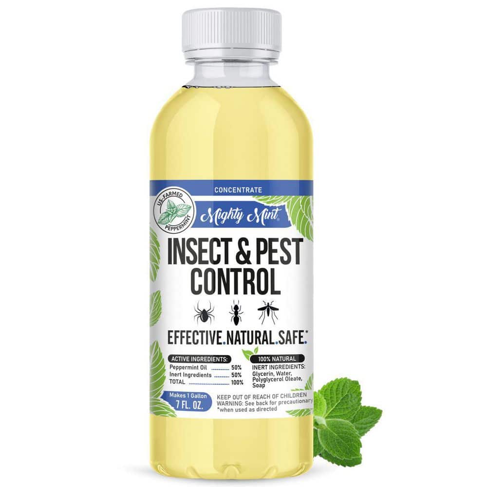 8 oz. Insect and Pest Control Peppermint Concentrate – Makes a Gallon – Natural Spray for Spiders, Ants, and More - Hercitys