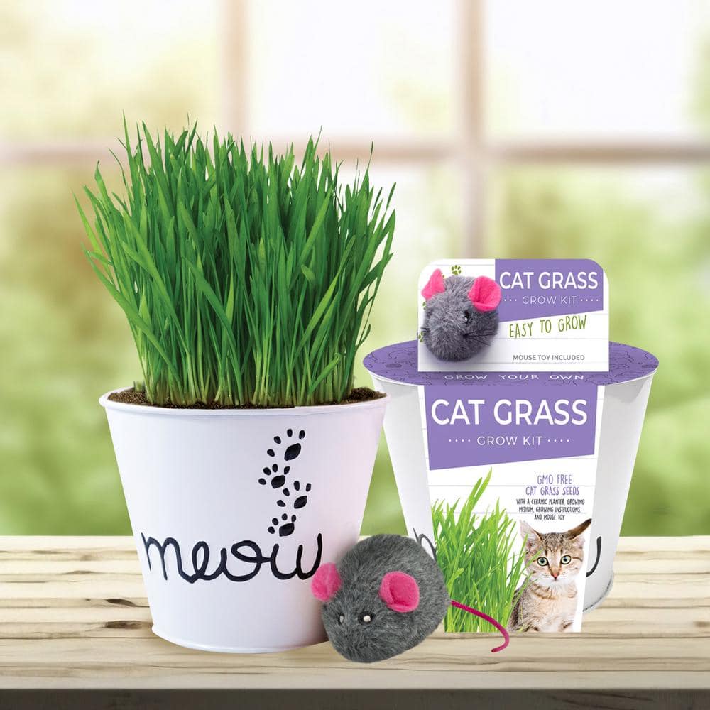Cat Grass Herb Seed Grow Kit with Mouse Toy (2-Pack) - Hercitys