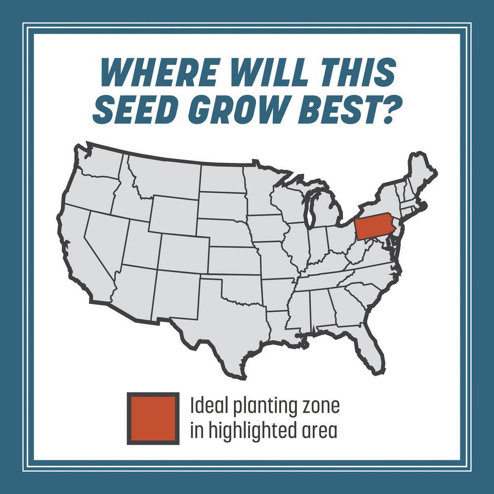 Smart Seed Pennsylvania 3 lb. 1,000 sq. ft. Grass Seed and Lawn Fertilizer - Hercitys