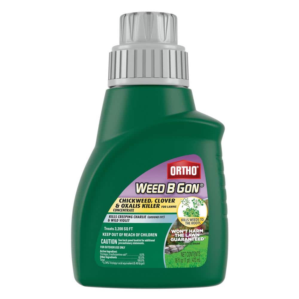 Weed B Gon 16 oz. Chickweed, Clover & Oxalis Killer for Lawns Concentrate - Hercitys