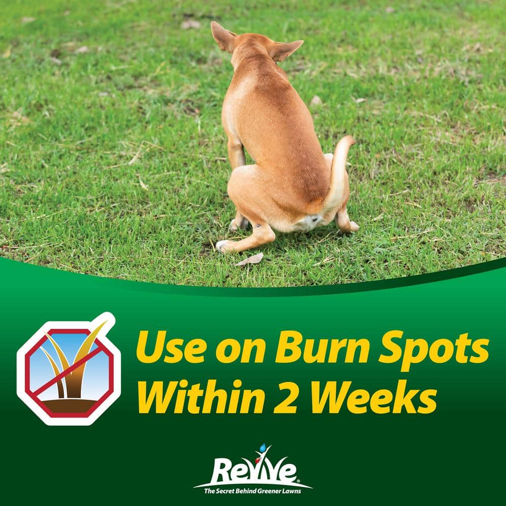 64 oz. Dog Spot Treatment - Hercitys