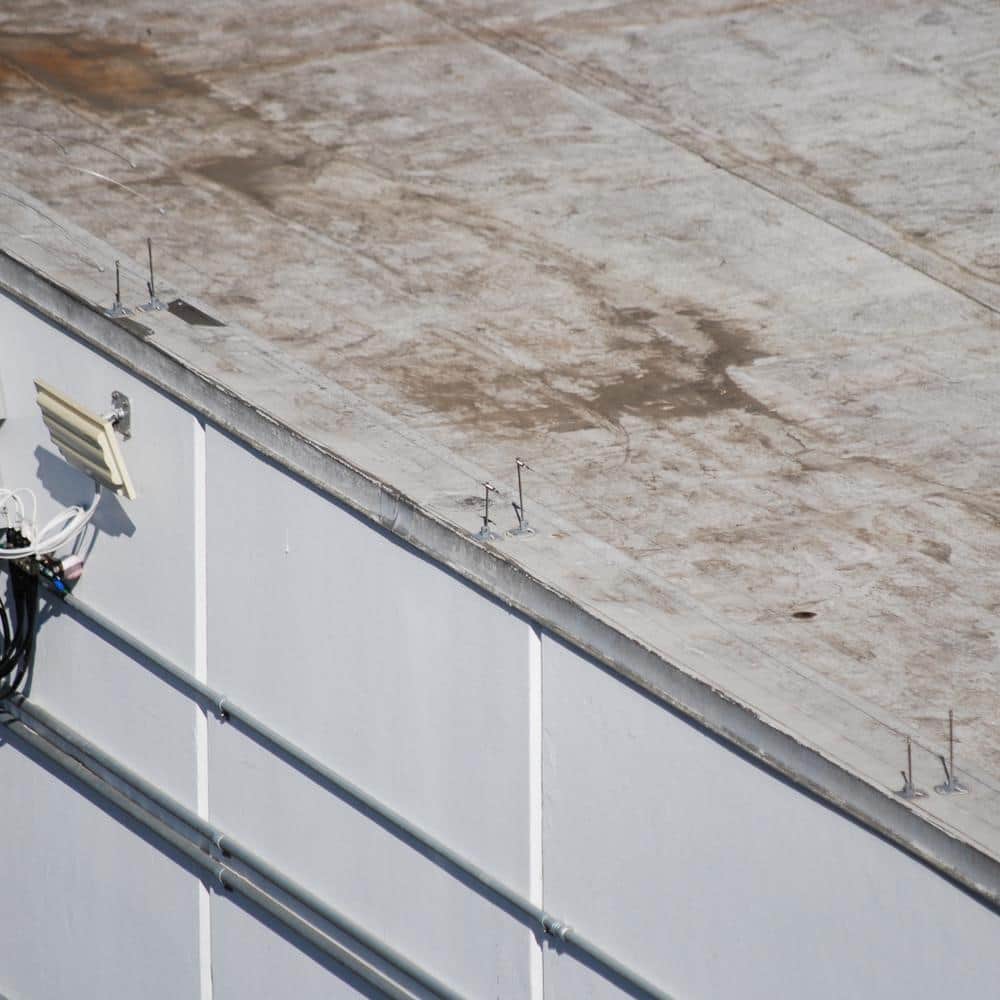 Bird Wire Bird Deterrent 250 ft. Stainless Steel Wire Roll, Silver - Hercitys