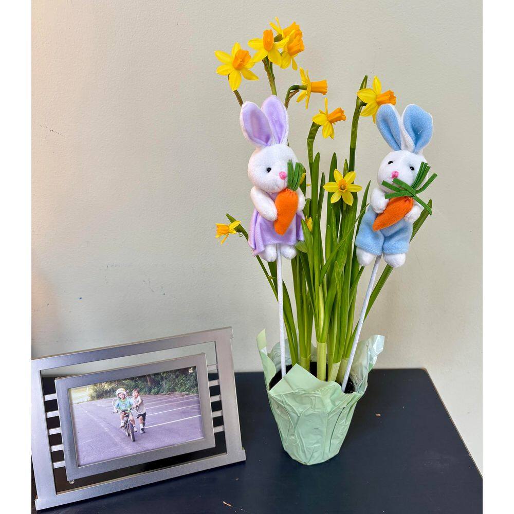 7 in Bunny Holding Carrot on 11 in Stem, Set of 6 - Hercitys