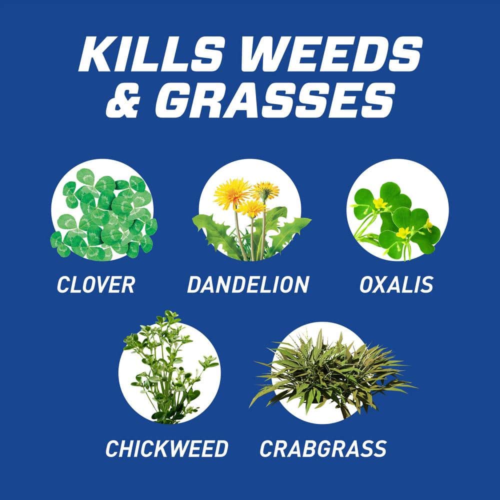 Ground Clear Weed and Grass B-gon Patio and Landscape Weed and Grass Killer with Comfort Wand, 1 gal. Kills to the Root - Hercitys