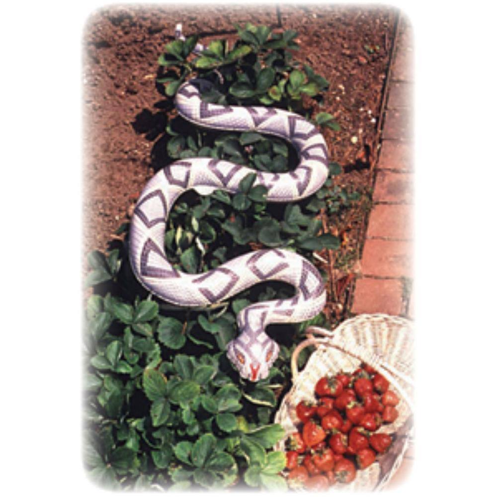 Trio of Inflatable Scarecrows - Hercitys