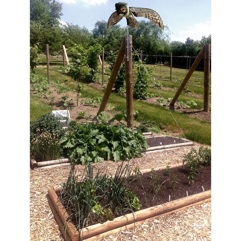 Prowler Owl with Flapping Wings Owl Decoy Scarecrow Bird Repellent Scare Pigeons Birds - Hercitys