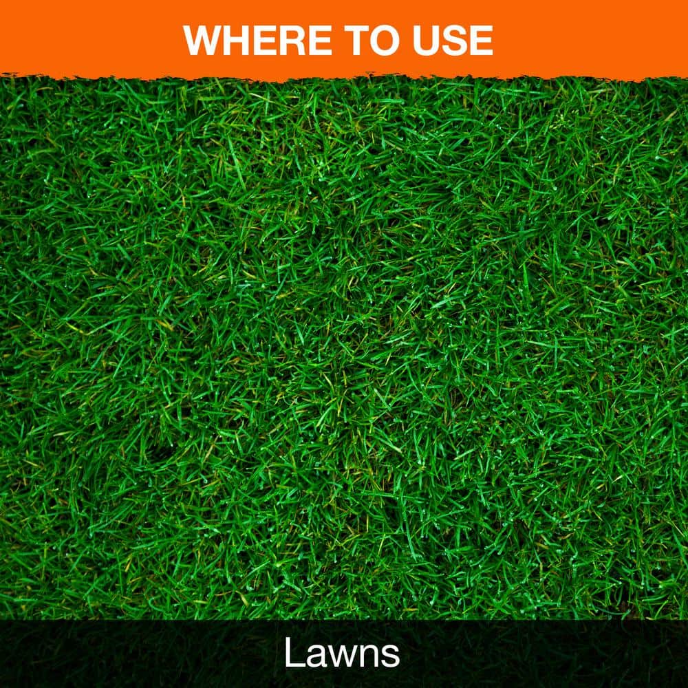 Weed-B-Gon 32 oz. Ready-to-Spray Lawn Weed Killer for St. Augustine Grass - Hercitys