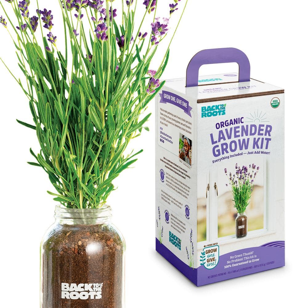 Organic Lavender Grow Kit - Hercitys