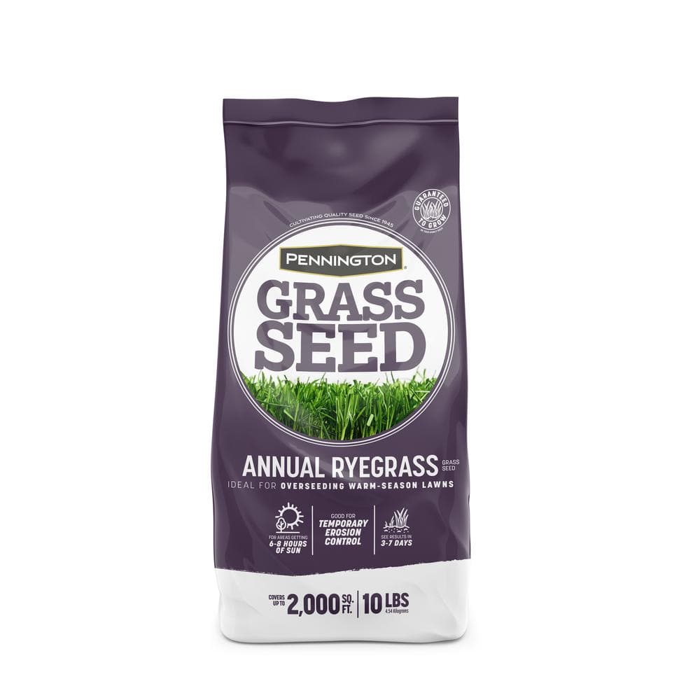 Annual Ryegrass 10 lb. 2,000 sq. ft. Grass Seed - Hercitys