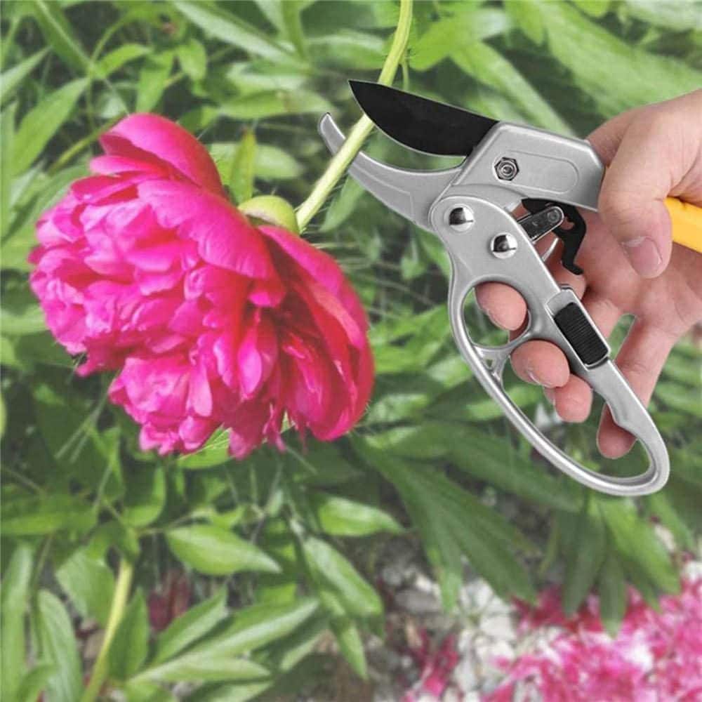 8 in. Hand Pruner, for Trimming Rose, Floral, Tree, Live Plants, Sharp Garden Scissors - Hercitys