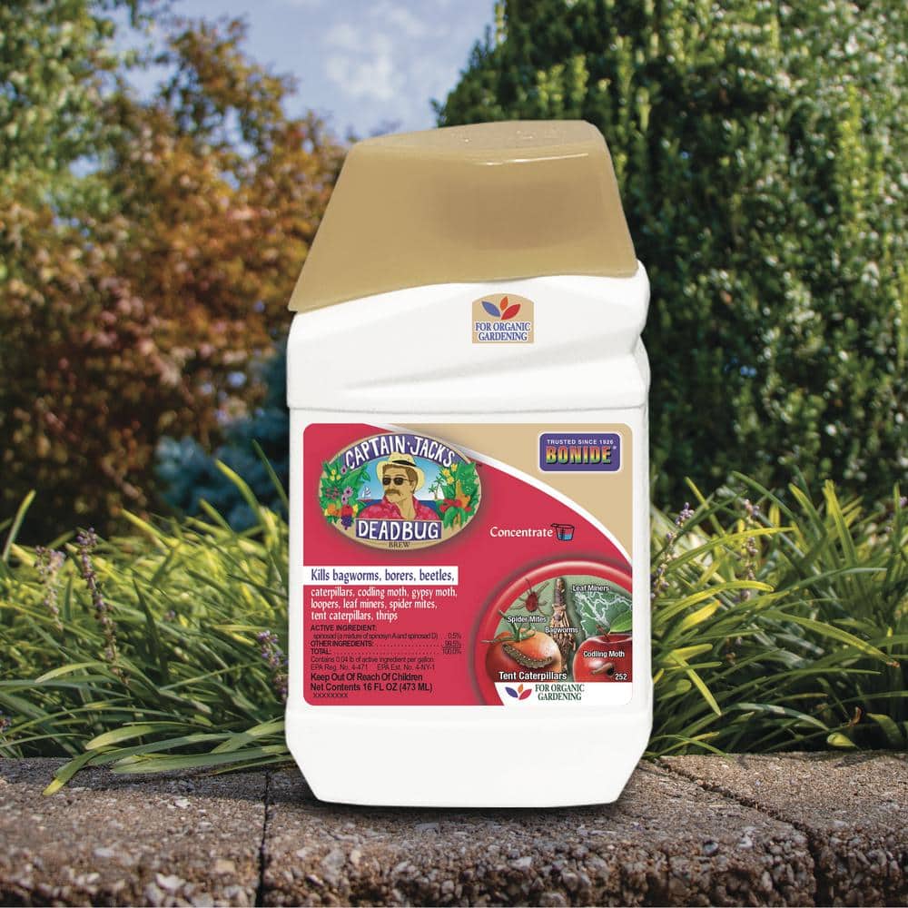 Captain Jack’s Deadbug Brew, 16 oz Concentrate Outdoor Insecticide and Mite Killer - Hercitys