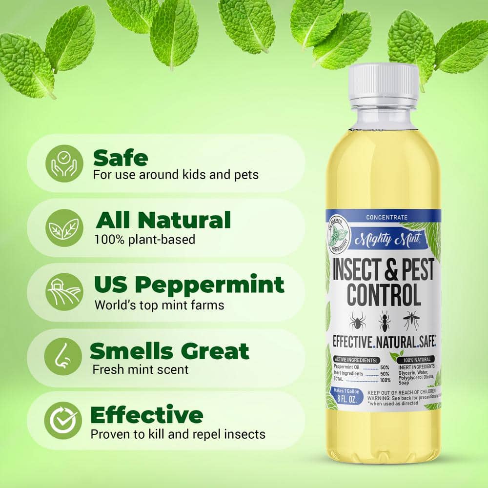8 oz. Insect and Pest Control Peppermint Concentrate – Makes a Gallon – Natural Spray for Spiders, Ants, and More - Hercitys