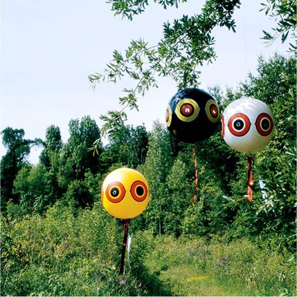 Scare Eye Bird Chaser Bird Repellent Scarecrow Decoy (3-Pack) - Hercitys