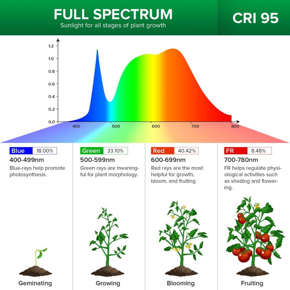 600-Watt Equivalence Black Full Spectrum 4-Head Gooseneck LED, 40-Watt Grow Light 4000K Daylight Clip-On High PPFD Plant - Hercitys
