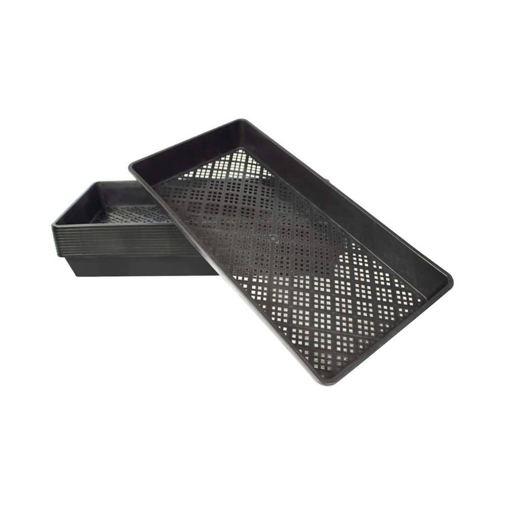 Microgreen Propagator Mesh Bottom Trays for Seed Germination 10 in. x 21 in. Durable BPA-Free Plastic 6-Pack - Hercitys