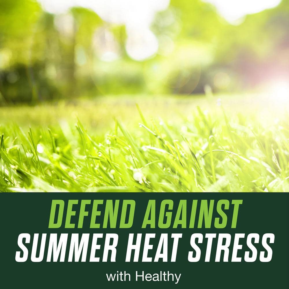 Turf Builder Healthy Plus Lawn Food, 13.70 lbs. 4,000 sq. ft, 2-in-1 Fungicide and Fertilizer, Withstands Summer Stress - Hercitys