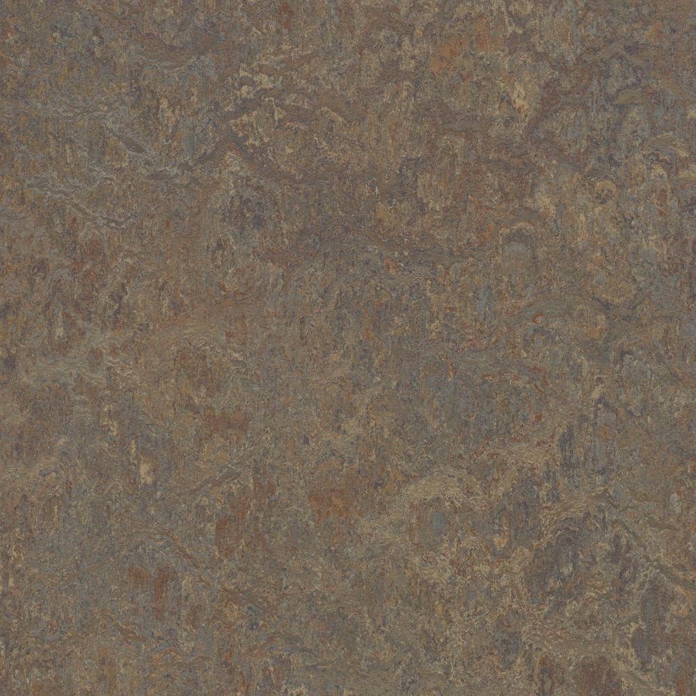 Cinch Loc Seal Cork Tree 9.8 mm T x 11.81 in. W x 35.43 in. L Laminate Flooring (20.34 sq. ft./case) - Hercitys