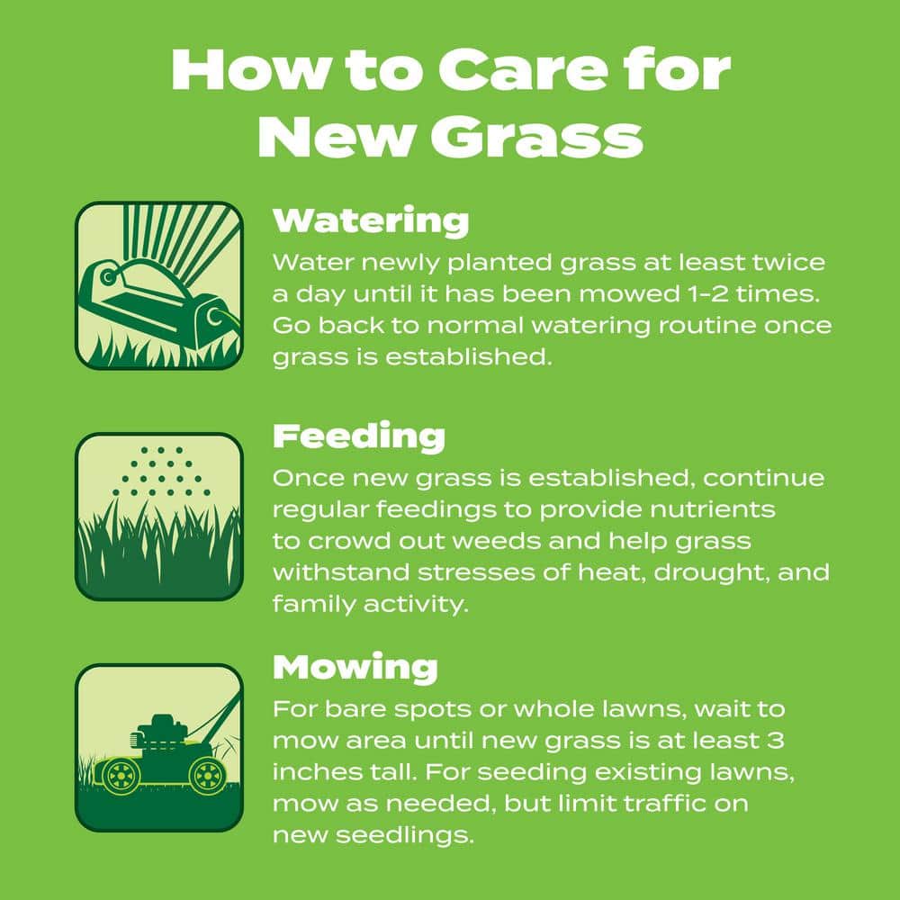 Turf Builder Starter Food for New Grass Ready-Spray 32 oz. 600 sq. ft. Use on Newly Seeded Lawns, For All Grass Types - Hercitys