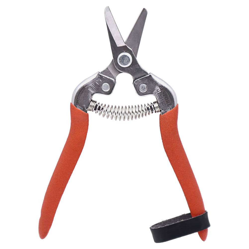 Harvest Shear, Short Curved Stainless Steel Blade (Box of 3) - Hercitys