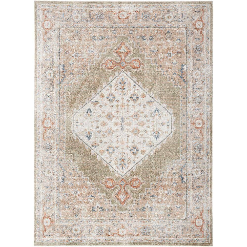 Astra Machine Washable Sage Multi 5 ft. x 7 ft. Distressed Traditional Area Rug - Hercitys