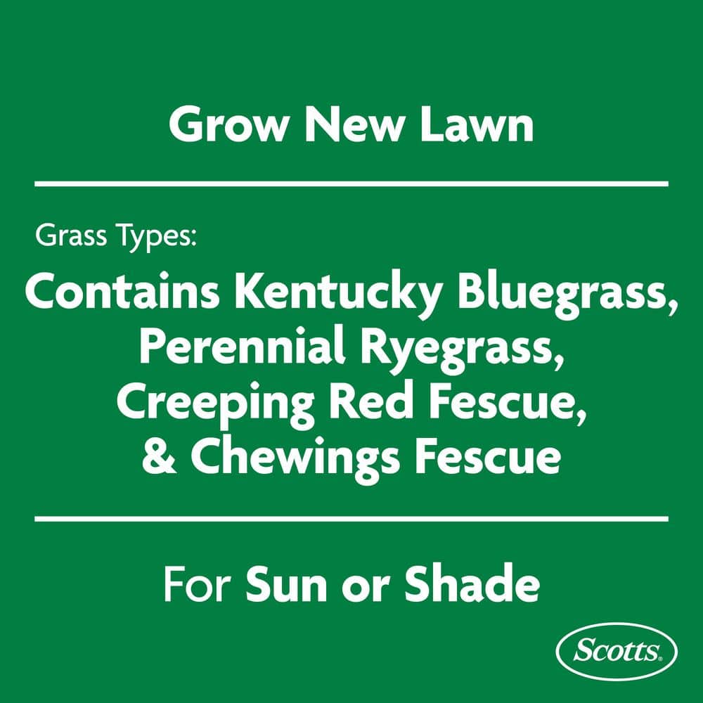 Turf Builder 16 lbs. Rapid Grass Sun & Shade Mix Combination Seed and Fertilizer Grows Green Grass in Just Weeks - Hercitys