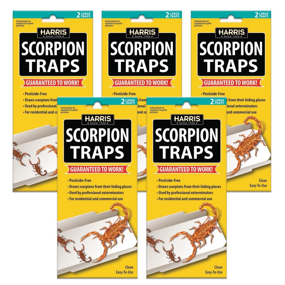 Scorpion Glue Trap (5-Pack) - Hercitys