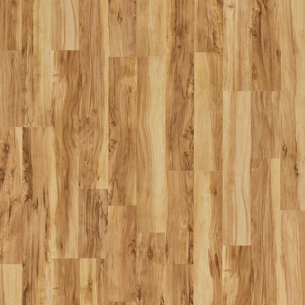 XP Ellwood Maple 10 mm T x 7.4 in. W Water Resistant Laminate Wood Flooring (19.63 sq. ft./case) - Hercitys
