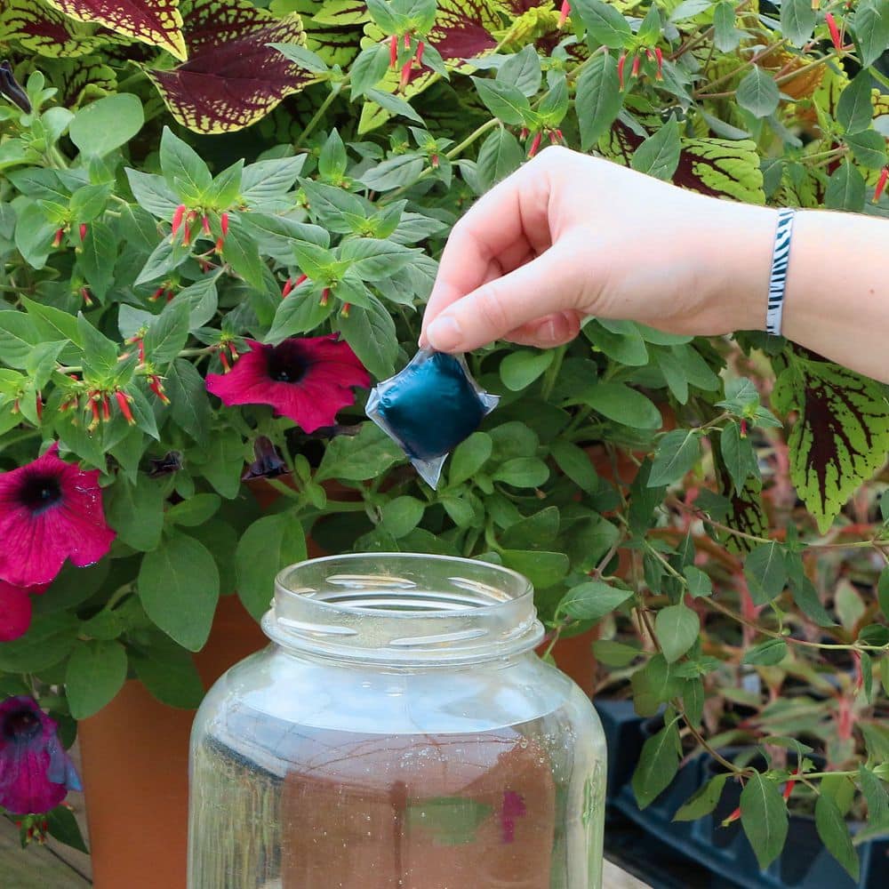 Plant With Purpose NPK+ Fertilizer Pods All Purpose 14 oz. (25-Pack) - Hercitys