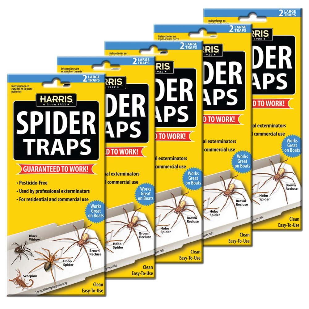 Spider Trap Value Pack - Hercitys