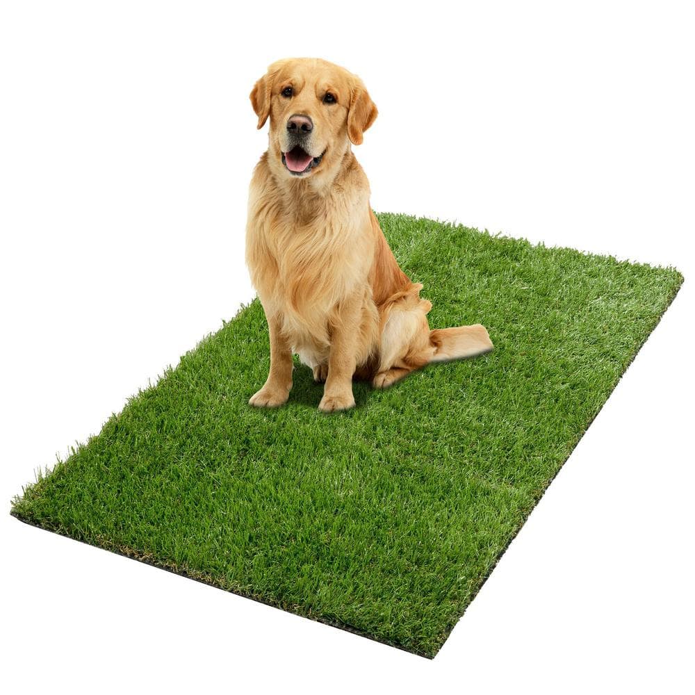 Evergreen Collection Waterproof Solid 3 ft. x 5 ft. Indoor/Outdoor Artificial Grass Runner Rug, 2 ft. 7 in.x 5 ft. Green - Hercitys