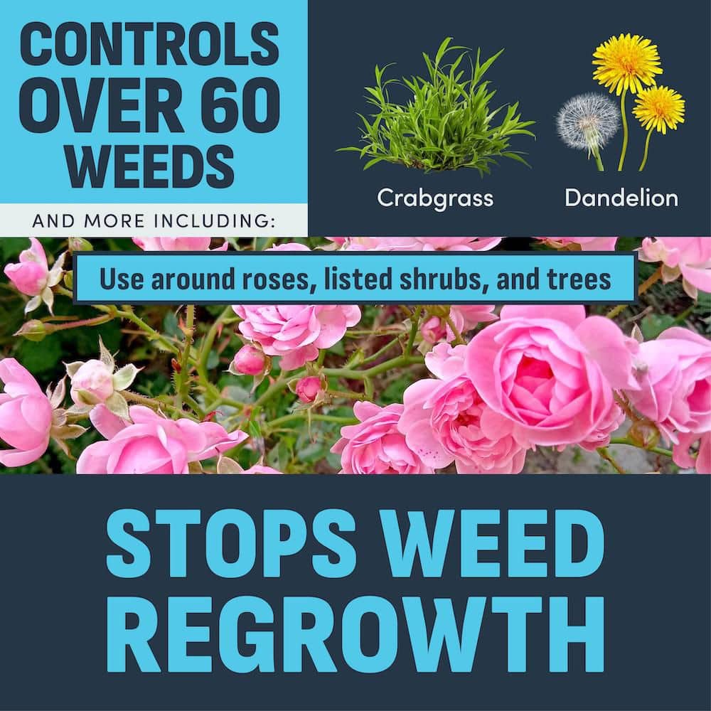 8 lb. 1,700 sq. ft. Outdoor Garden and Landscape Casoron Vegetation Killer Granules (2-Pack) - Hercitys