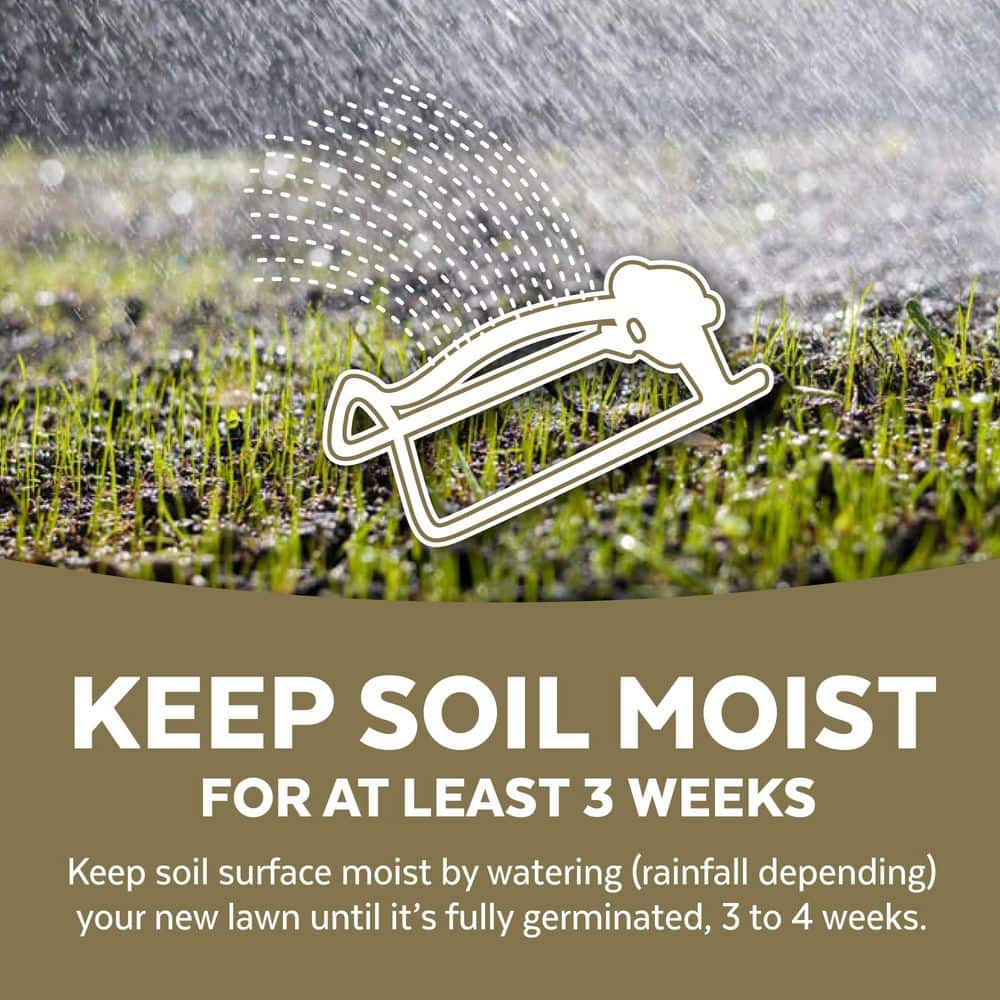 Drought Defy 3 lbs. Grass Seed - Hercitys