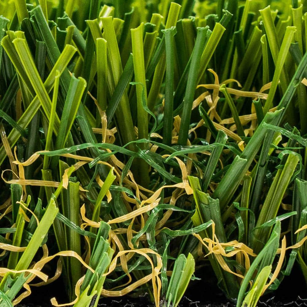 Santa Monica Fescue 15 ft. W x Cut to Length Green Artificial Grass Turf - Hercitys