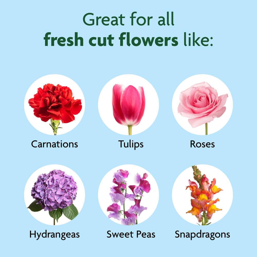 Fresh Cut Flowers (2-Pack) - Hercitys