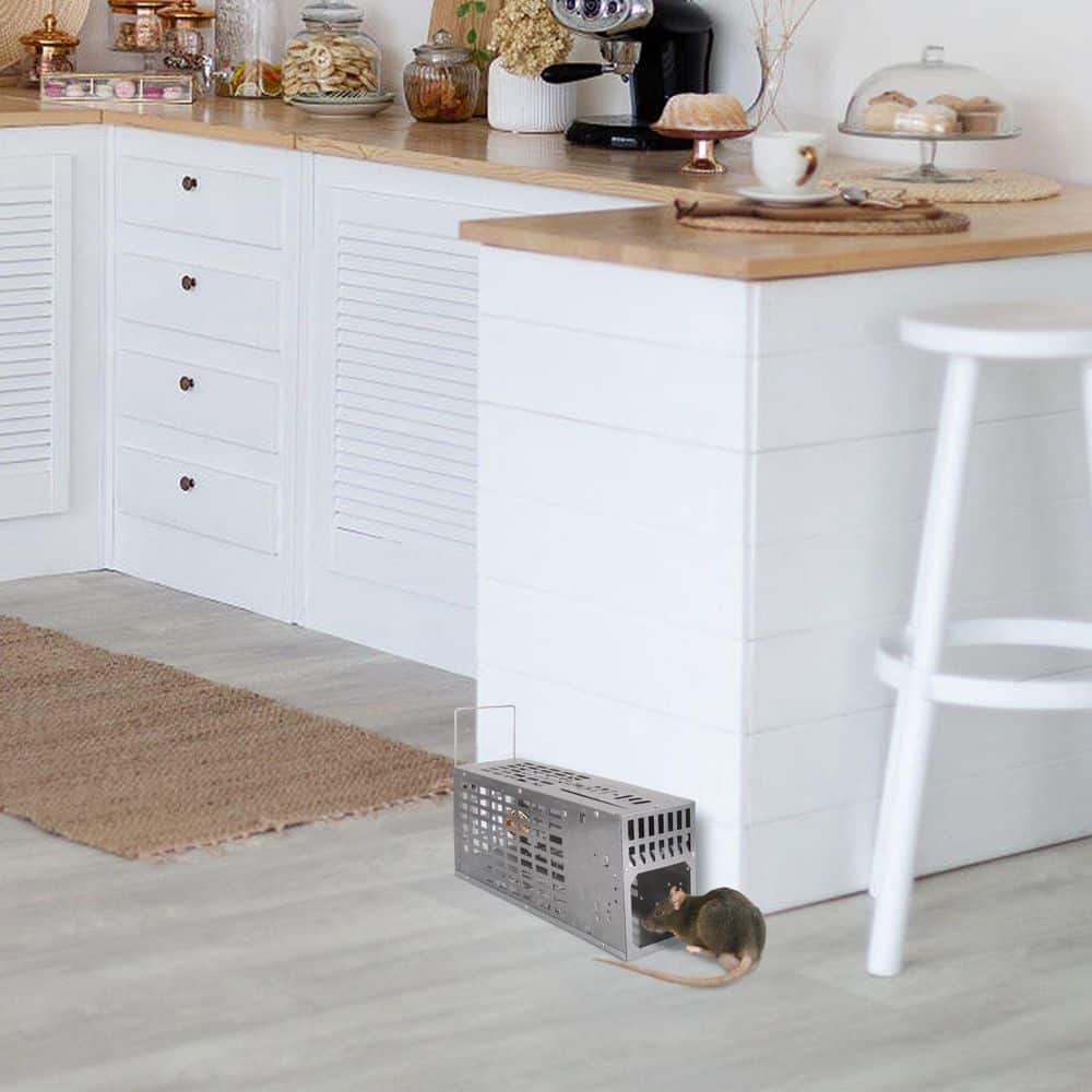 Live rat trap series. Outside. Reusable metal squirrel cages. Rats. Rat traps. 1 package - Hercitys