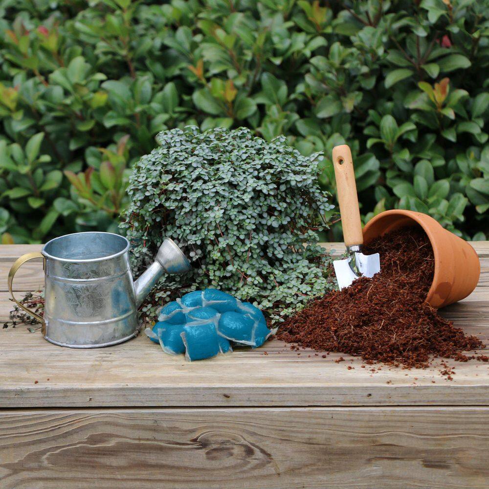 Plant With Purpose NPK+ Fertilizer Pods for Acid Loving Plants 28 oz. (50-Pack) - Hercitys