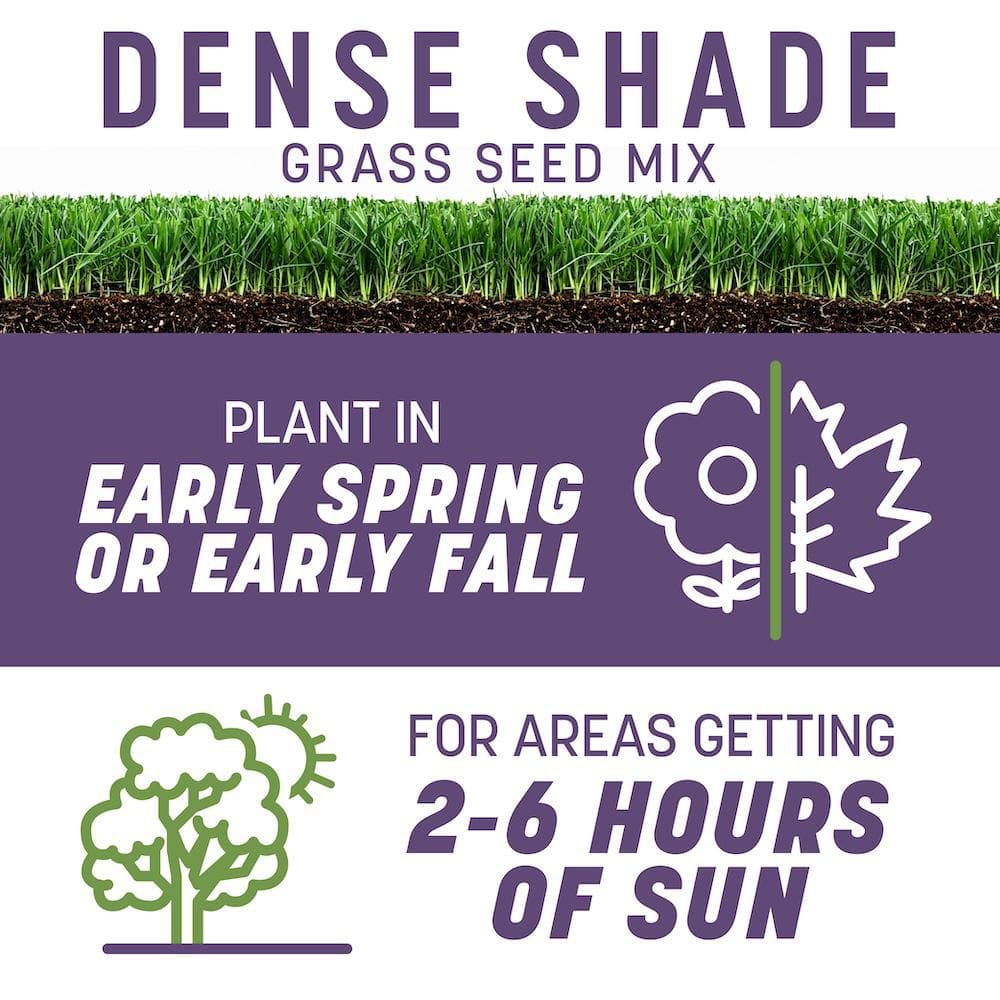 Smart Seed Dense Shade 3lb. 750 sq. ft. Grass Seed and Lawn Fertilizer (2-Pack) - Hercitys