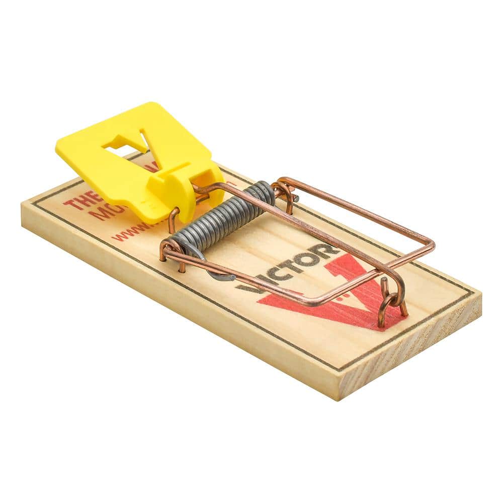Easy Set Mouse Trap (72-Pack) - Hercitys